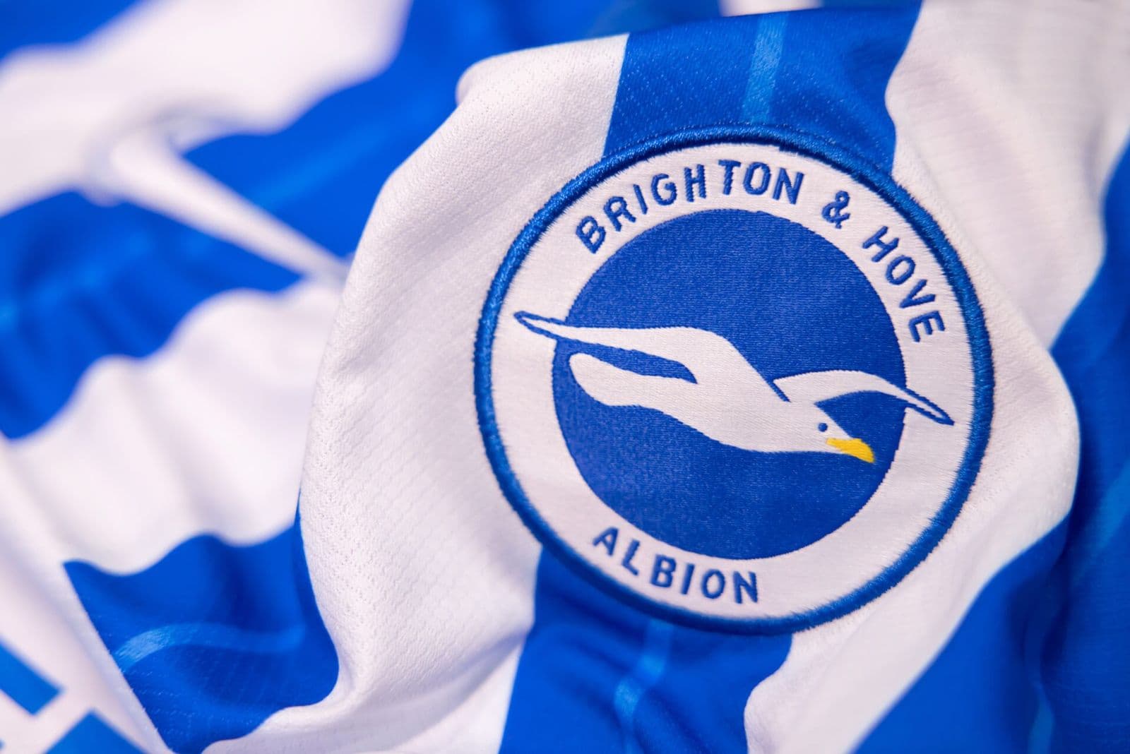 Brighton & Hove Albion logo