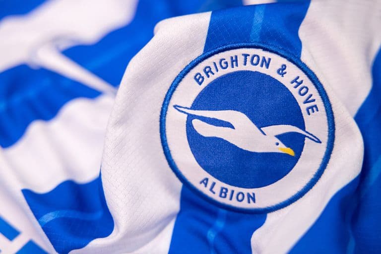 Brighton & Hove Albion logo