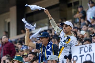Fans of LA Galaxy